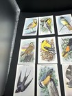 Vintage Church And Dwight  Useful Birds Of America Arm And Hammer Baking Soda 14