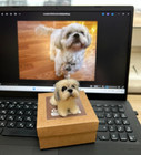 Custom Made Felt Dog  Shih Tzu  Dog Replica  Needle Felted Dog