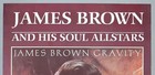 James Brown     Rare Vintage Original Frankfurt 1987 Concert Poster  gravity 