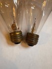 2 Antique Edison Light Bulbs