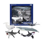 Collecta 5pc Sea Animal Toy Set Whale Shark Ray Realistic Kids Safe Non-toxic