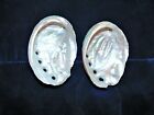 Two  2  Green Abalone Sea Shells  Beach Decor Craft Reef 2-1 4 To 3 