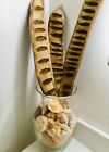 8 Pc Poinciana Pods 10    Basket  Weaving  Supplies  Floral  Decor Organic