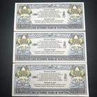3x 100 Years Of Boy Scouts Of America Paper Money Baden Powell Bsa 2010 Dollar