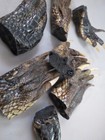 Lot Of 4 Real Gator Alligator Feet Taxidermy Claw Toes 4-5  Genuine Authentic