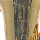 Eastman Ebb825vg Professional 5 4 Bbb Tuba In Gold Brass Sn Y2501557