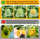 100 Pack 4x6 Green Fruit Protection Netting Bags With Drawstring For Berries