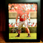 Framed Autographed Picture David Pollack University Of Georgia