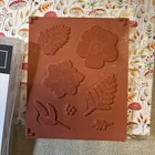 Stampin Up Painted Seasons Stamp Set New Unused 2 Full Dsp Packs Retired