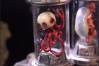 Set Of 3 Alien   earth Alien Creature 1 1 Scale Collectible Painted Resin Model