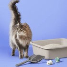 Fragrance Free Scoopable Clumping Cat Litter - 20lbs