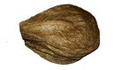 100g Large Indian Almond Catappa Ketapang Leaf Leaves Aquarium Betta Fish Shrimp