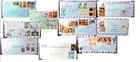 Latin America Postal History  Ilo Official Mail   Commercial  Lot Sf Iii 91-100