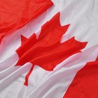3 X 5 Ft Polyester Canadian Flag Canada Maple Leaf Banner Indoor Outdoor Grommet
