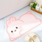 Pink Rabbit Ultra Thin Bath Mat Quick Dry Nonslip Bathroom Floor Rug New