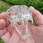 Clear Cat Skull  Anatomical Cat Skull Model  Oddities Decor