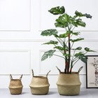 Woven Baskets Seagrass Plants Pot Belly Basket Home Garden Indoor Flowers Decors