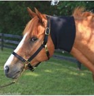 Horse Blue Neck Sweat Neoprene Wrap Cover  Tack 10  52019