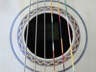 Berkeley Berkeley Solid Maple Guitarron W  Bag  guitarr  n Mexicano 