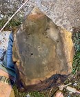 11 76 Lb Blue Biggs Picture Jasper  Lapidary Rough From Biggs  Oregon