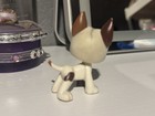 Littlest Pet Shop Dog Figure  750   authentic    view All Pics   