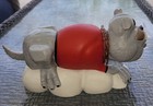 Georgia Bulldogs Uga On Ice Bag