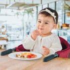 Chicco Caddy Hook-on Chair  Portable High Chair For Babies   Toddlers