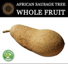 Kigelia Africana Fresh Fruit For Making Natural Medicine Bulk