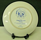 Disneyland Resort 2004 A Whole New World Decorative Plate Nwt New