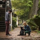 Retractable Dog Leash 26 Ft  Heavy Duty Retractable Leash For Dogs Up To 110lbs