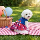 4th Of July Pet Clothes For Small Dogs  250th Independence Day Dog Dresses St   
