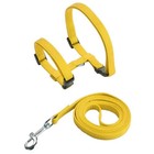 Cat Harness Leash Set Escape Proof Adjustable Nylon Halter For Kitten Pets