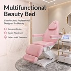 Aglaia Esthetician Bed Facial Chair Electric Spa Chair Lash Bed Pink Adjustable