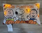 Peanuts    hello Pumpkin    Pillow Halloween 3 Aa Battery Light Up 12   x 19   euc