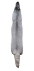 Premium Blue Fox Pelts     Garment Grade   Display Ready