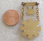 Vintage Ioof Odd Fellows Rebekah Degree Veteran 50 Year Member Jewel badge pin