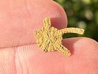 Fossil Starfish Ophiura Graysonensis Brittle Star Texas Cretaceous Pawpaw Fm