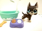 Littlest Pet Shop  817 variant Great Dane puppy Dog brown Beige blue Dot Eyes