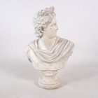 Greek Roman God Apollo Bust Statue Face Head Figurine Resin Sculpture Figure
