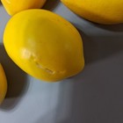 28 Vintage Artificial Lemons Realistic Textured Fake Fruit Lot Staging Props Dec