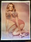 Vintage 1978 Susan Anton Swimsuit Pro Arts Inc Poster Original - 23  X 17 