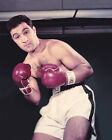 Rocky Marciano Glossy 8x10 Photo Boxing Print Heavyweight Poster Champion Boxer 