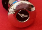 Bentley Special Enlarged Umbrella Fully Automatic Open close
