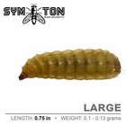 Reptile Food - Live Black Soldier Fly Larvae  large 