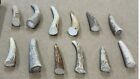 1 Dozen Small Deer Antler Tips   Points For Making Arts  Crafts  Jewelry
