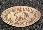 Jimothy Short-spined Raccoon Short Spine Big Fame Pressed Penny Elongated Coin