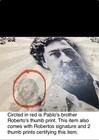 Pablo Escobar License Plate W  Coa True Crime John Gotti