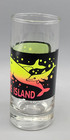 Vintage Dolphin South Padre Island  Texas Double Shot Glass Shooter Souvenir