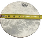 Remo World Wide Pretuned Hand Drum Walnut 8 In 