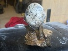 T-rex Egg With Display  dinodagget  Northamerica